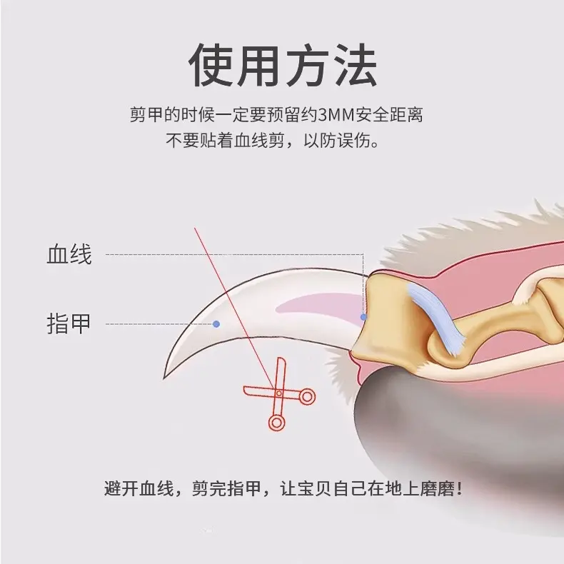 Kéo cắt móng cho chó mèo thiết kế lỗ tròn bấm thông minh - tránh bấm vào da. 5
