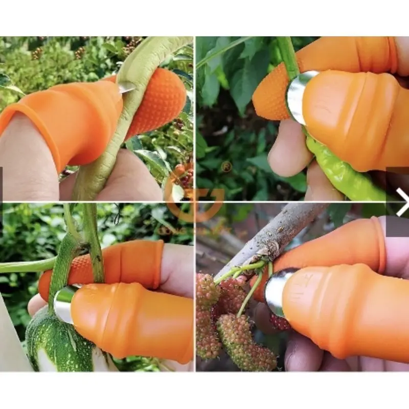 Găng tay bấm, ngắt, hái rau chuyên dụng, bộ móng hái rau tiện lợi, bô móng hái rau 4 ngón dùng cho nam và nữ 6