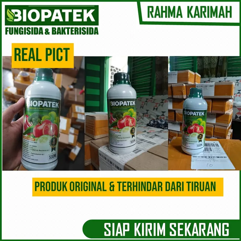 OBAT Layu Fusarium dan Layu Bakteri Cabe BIOPATEk 500 ML – Pupuk Organik Semprot Atasi Layu Buah, Daun dan Batang Cabe – Pupuk Semprot Atasi Layu Keriting Daun, Busuk Buah, Batang dan Busuk Akar Cabe – Pupuk Atasi Penyakit Tanaman Cabe 8