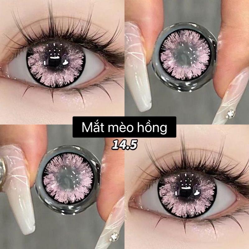   0 Cận  Lens mắt kính áp tròng mắt mèo hồng pink & tím violet long lanh giãn to  Giá 1 đôi kèm khay dụng cụ đeo  