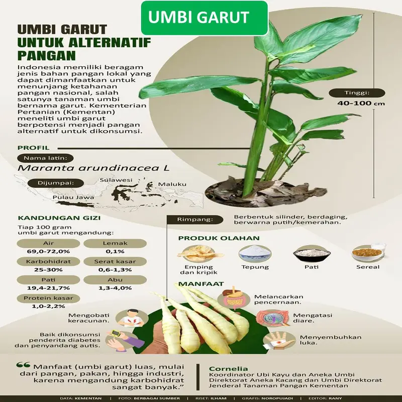 Paket 2 Box Nutri-Aj- Pati Irut-Garut-Angrik-Bebas Gluten Tepung Bahan 5