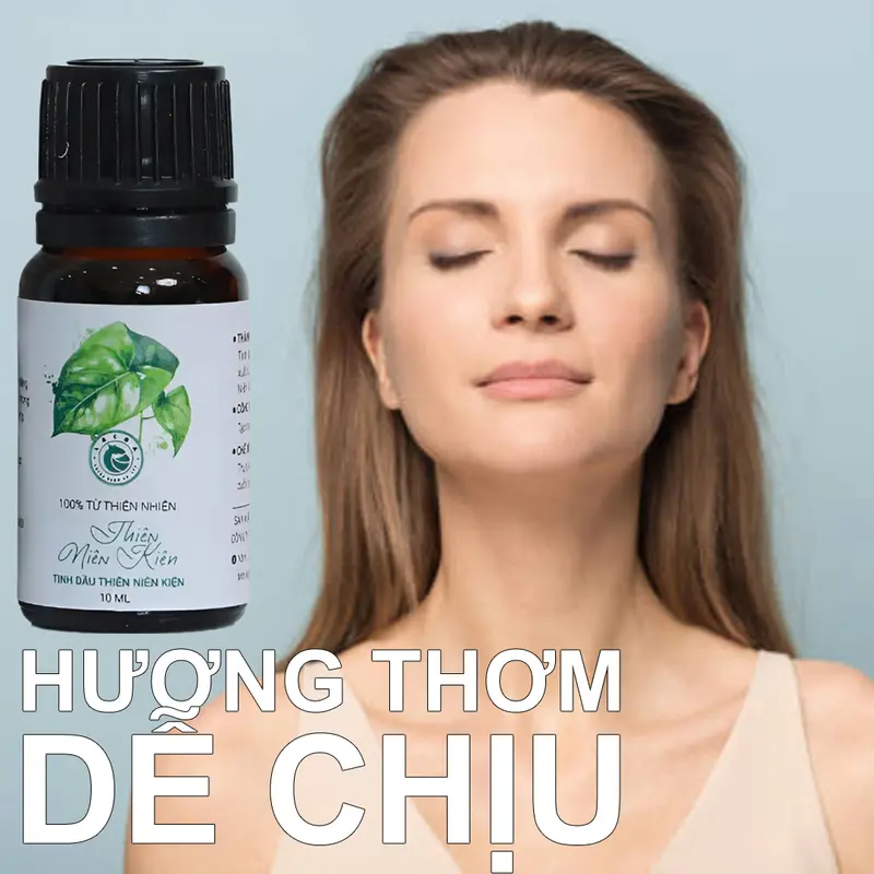 Tinh dầu thiên niên kiện Lạc đà xanh 10ml – Dùng xoa bóp, massage – Tốt cho gân cốt dầu  xoa 3