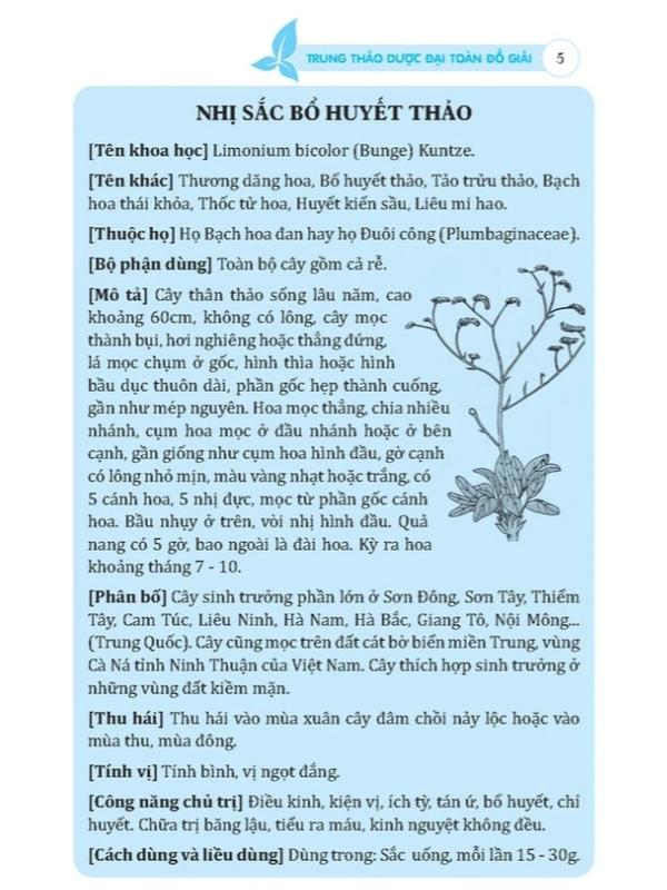 Sách - Trung thảo dược đại toàn đồ giải - Bìa mềm sách  dược 1