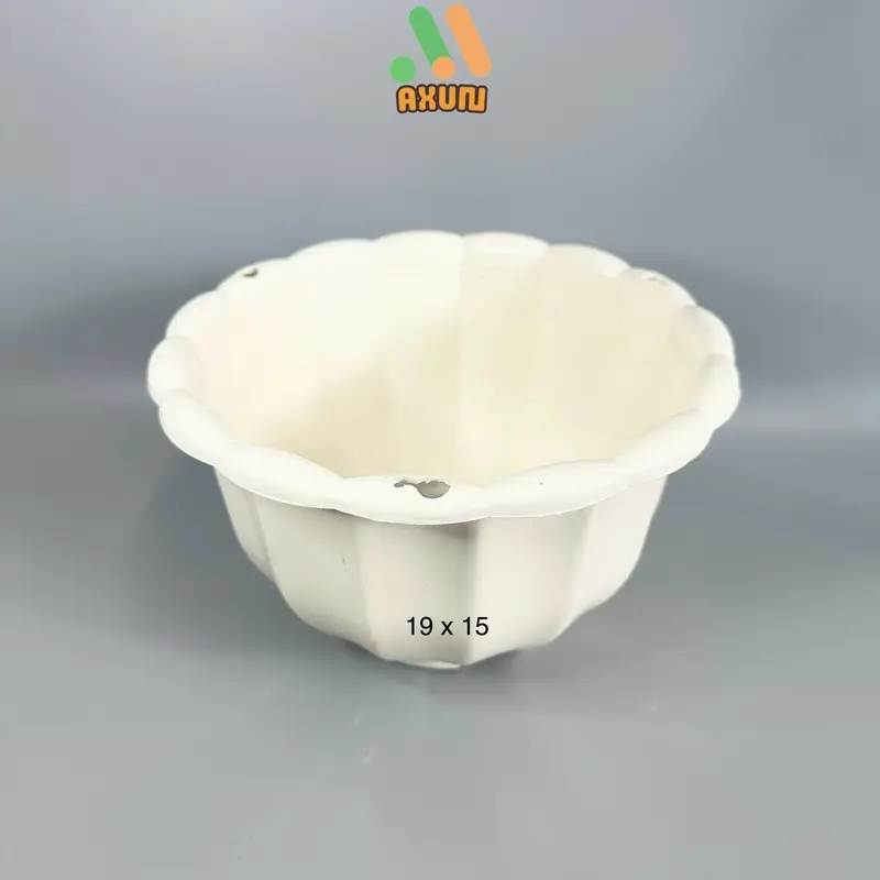 Chậu nhựa cứng tròn trắng mini trồng sen đá và xương rồng 2