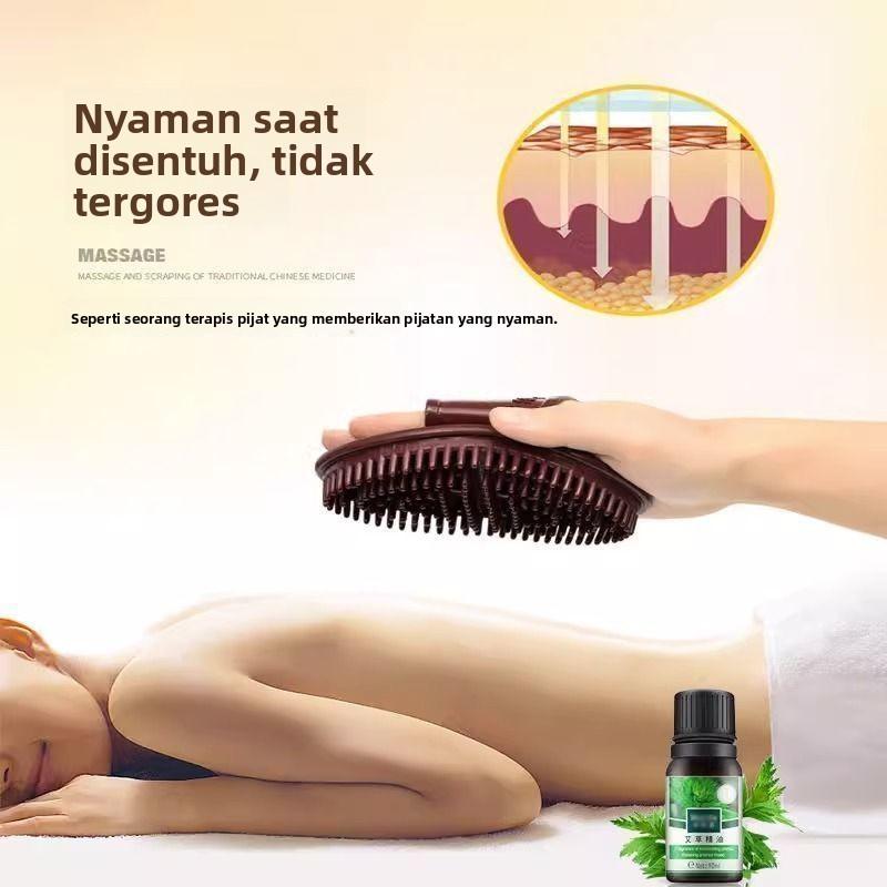 Sikat Pijat Meridian Asli Dredging Pelangsing Kaki Tubuh Perut Ajaib Refleksi Anti Selulit Urut Wajah Sikat Pijat Meridian Asli Dredging Pelangsing Kaki Tubuh Perut Ajaib Refleksi Anti Selulit Urut Wajah