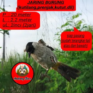 Jaring burung perkutut, trucukan, kutilang dan burung lainnya