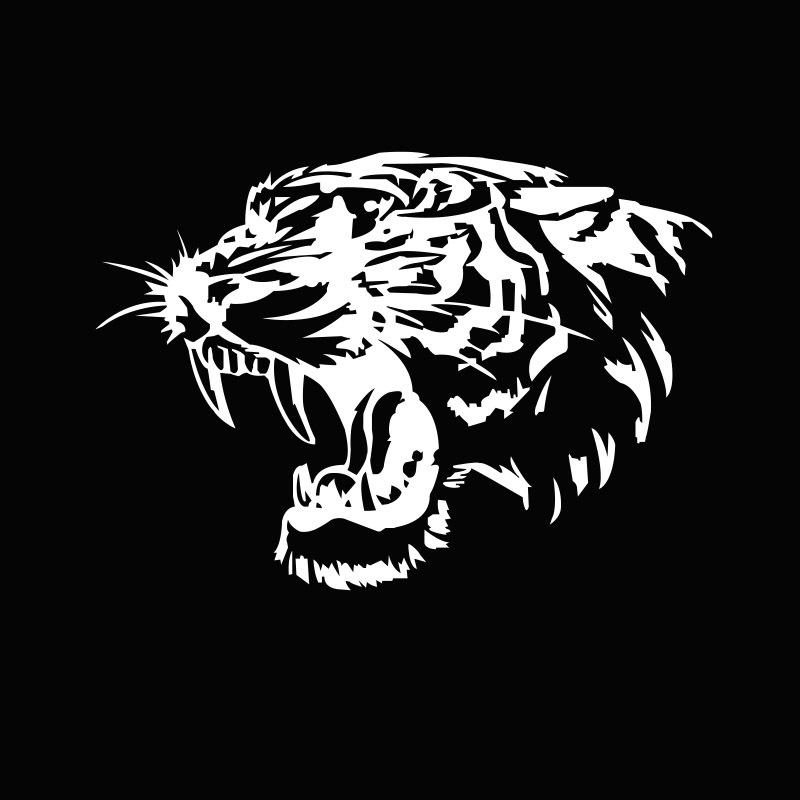 Product Introduction of Pelekat vinil kepala harimau yang kuat untuk motosikal, pelekat kereta, personaliti, 28x28cm 19