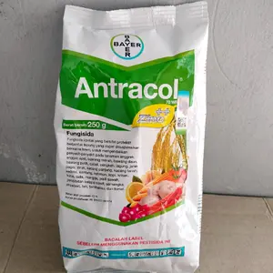 Antracol 70 WP 250gram Bahan Aktif Propinep plus zick dan Zpt Fungisida Untuk Mencegah Jamur Tanaman