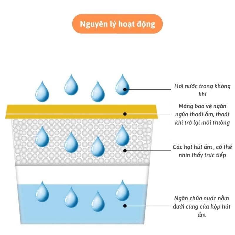 Product Introduction of Set 3 Hộp Hút Ẩm Mốc Khử Mùi Hương Hoa Dung Tích 450ml, Hộp Hút Ẩm Giữ Không Gian Khô Thoáng Ngăn Ngừa Nấm Mốc Nhà Cửa Tủ Đồ Tủ Quần Áo Giúp Đối Lưu Không Khí hộp hút ẩm mốc 7