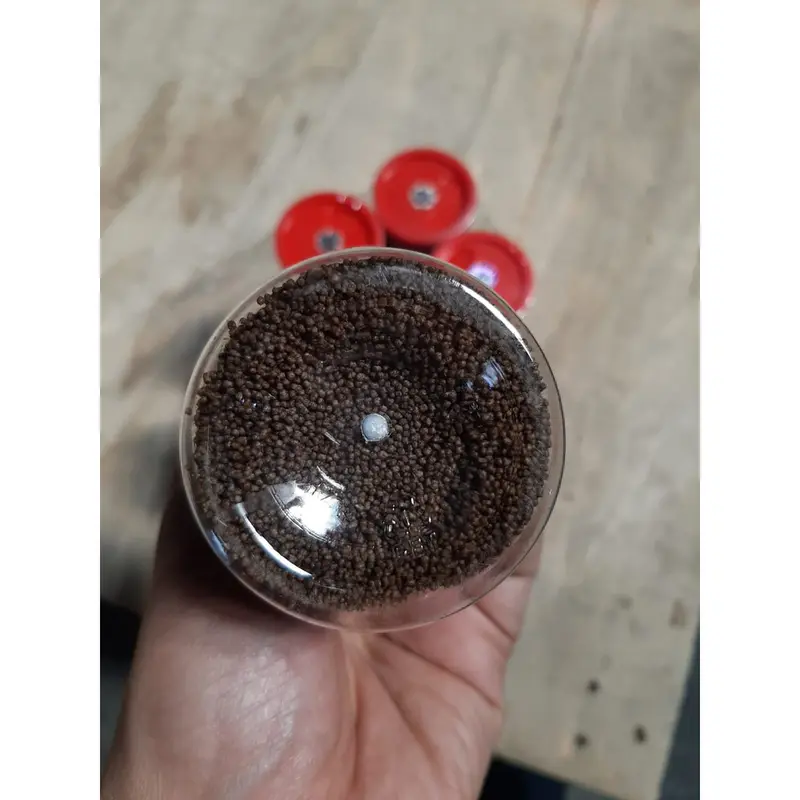 Pelet Halus SUPER SMALL 120Gr - Pakan Ikan Kecil PALING MURAH 1