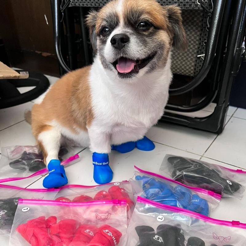 4pcs sepatu anjing kucing karet/sepatu hewan kucing anjing /sepatu bot anjing kucing 2