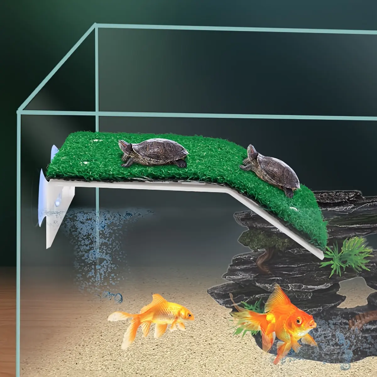 Turtle Basking Platform with Ladder, Aquarium Ramp with Suction Cups ...