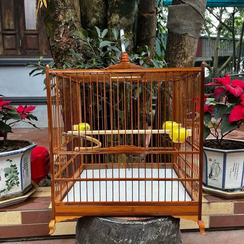 KHUNG LỒNG CHIM CHÀO MÀO TỰ DÁP CHẤT LIỆU TRÚC GIÀ ĐỎ.SIZE 37x37 ( tặng kèm keo& dầu ủ) chao mao avi tregià