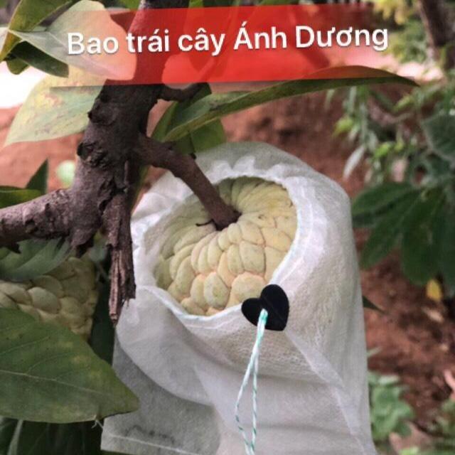 túi bao trái cây Ánh Dương - Túi bọc trái cây cao cấp chất liệu vải PE mềm, dai, sử dụng 2-3 năm đủ kích thước chuyên dùng bao trái Na, ổi, bưởi, mít Thái