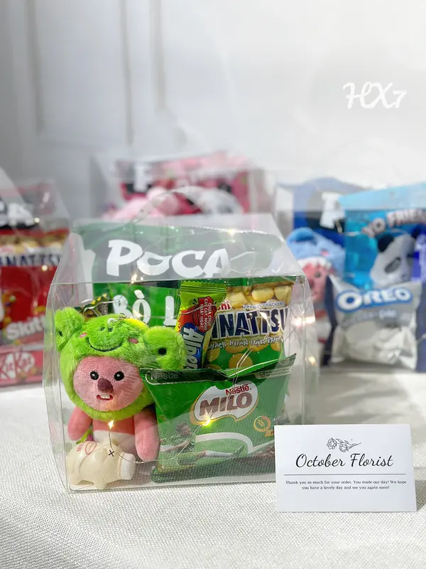 Hộp Trong Suốt Bánh Kẹo Móc Gấu Bông Loopy Theo Tone Màu Kèm Đèn Led - Quà Sinh Nhật. Quà Tặng Người Yêu (Size 16x16x16) 3