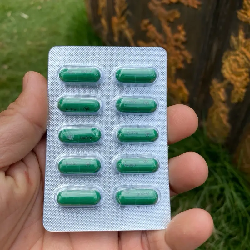 A 300 tiêu sưng, tiêu kén cho gà chọi 2