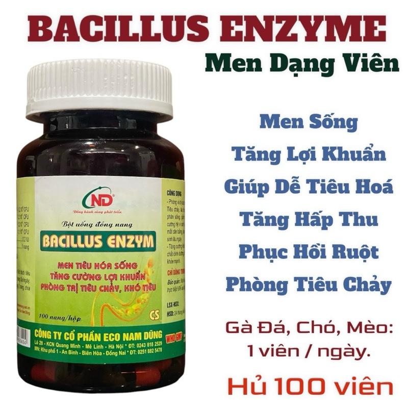   100 viên  Men Sống Bacillus Enzyme hỗ trợ tiêu hoá bổ sung lợi khuẩn vi sinh đường ruột trên gà đá gà chọi chó mèo trăn rắn. 