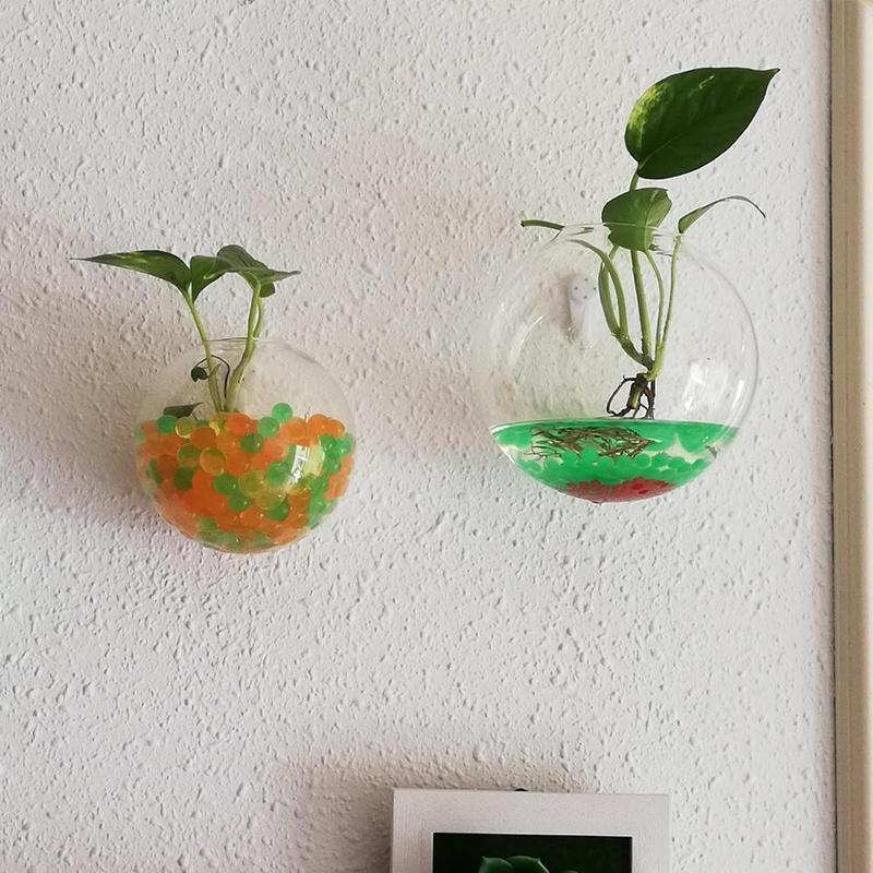 Bình Hoa Kính Treo Tường, Phong Cách Terrarium, Lò Xo Treo Tường, Chậu Cá, Thích Hợp Cho Bể Cá, Đồ Trang Trí Hoa, Trang Trí Nhà Cửa 3