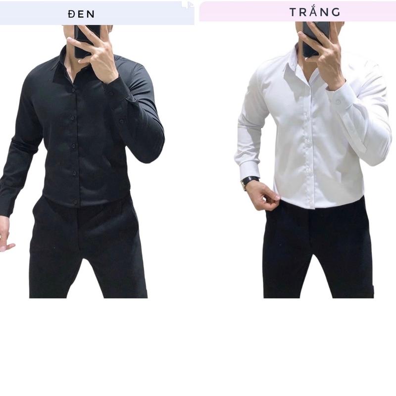 TỔNG HỢP BẢNG MÀU SƠ MI TRƠN NAM  - form áo slimfit - chất vải lụa cotton MỎNG NHẸ - mềm mịn mát 8