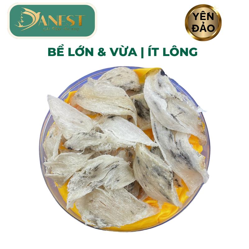 Yến thô bể lớn vừa - 100gr Tặng 10 gram đông trùng hạ thảo , táo đỏ, đường phèn- Yến sào DANEST