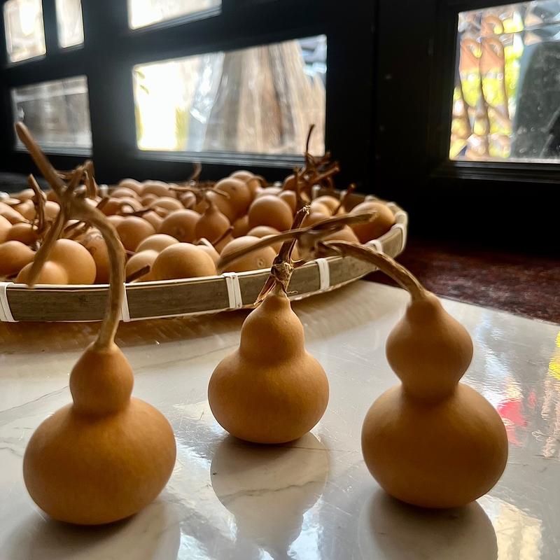 Bầu hồ lô mini 4-6cm đẹp , có cuống dùng trưng trên bàn học , làm móc khoá may mắn tài lộc Decor Decor Phòng Trang Trí Nhà Trang Trí Tượng Đồng