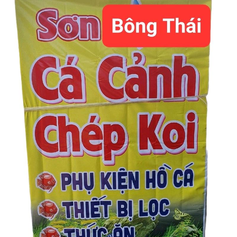 Decan ( KIM NGÂN, KIM SƠN ) hình quảng cáo siêu kute Decor Decal ( Cá cảnh ) 2