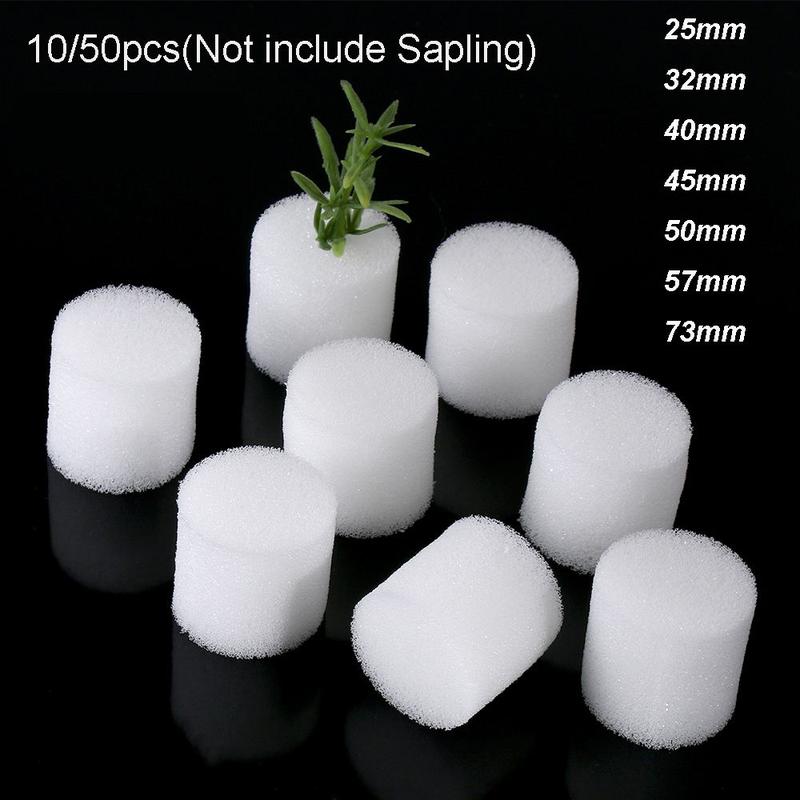 youisare 10/50 chiếc Đồ làm vườn Trồng cây Canh tác Nursery Sponge Thủy canh…