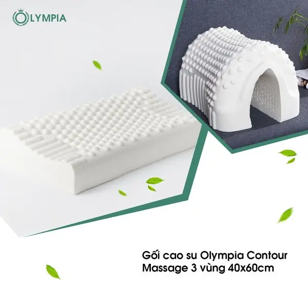 Gối cao su Olympia Contour Massage 3 vùng 40x60