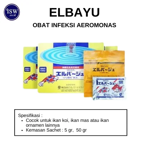 Elbayu | Obat Ikan | Mengatasi Aeromonas Pada Ikan Hias Koi