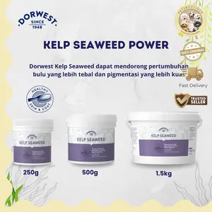 DORWEST Kelp Seaweed Powder vitamin bulu anjing kucing anabul
