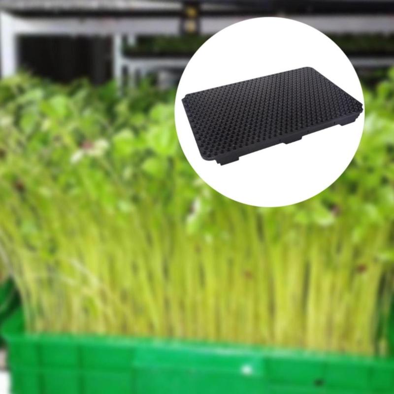 Khay Nảy Mầm, Kích Thước 658 Lỗ, Thiết Kế Đậu Phộng, Nhẹ, Thích Hợp Để Trồng Cây, Bảng Thủy Canh, Khay Trồng Cây Mầm 5