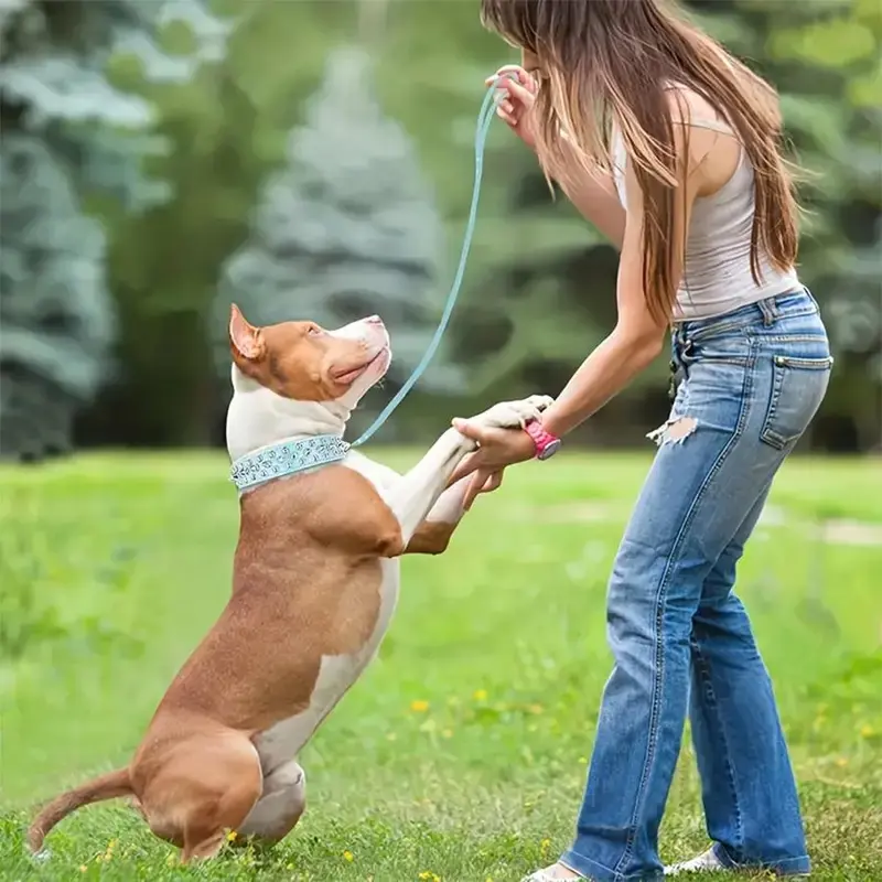 Rivet Dog Collar & No Tangle Leash Set, Adjustable Pet Studs Collar, Durable Dog Walking Equipment, Fashionable Pet Walking Essentials, Dog Accessories, Easter Gifts 3