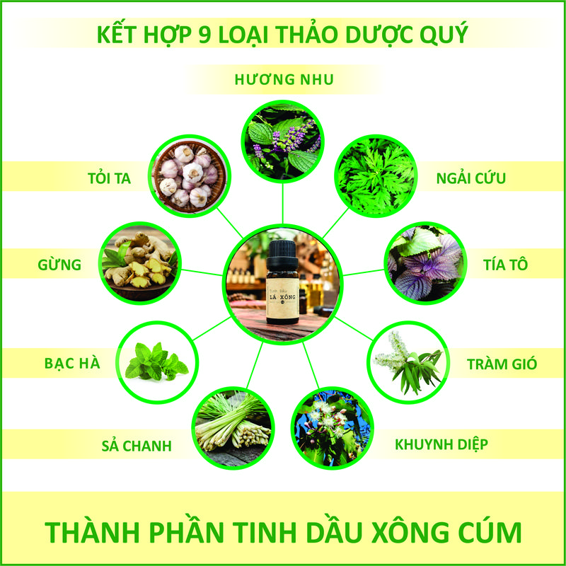 Tinh Dầu Lá Xông - Tặng Đèn Nến - Tặng Cốc Xông - Xông Cúm, Xông Hơi, Giải Cảm, Chăm Sóc Sức Khoẻ - Thơm Phòng, Thư Giãn - Dầu Thơm Phòng 1