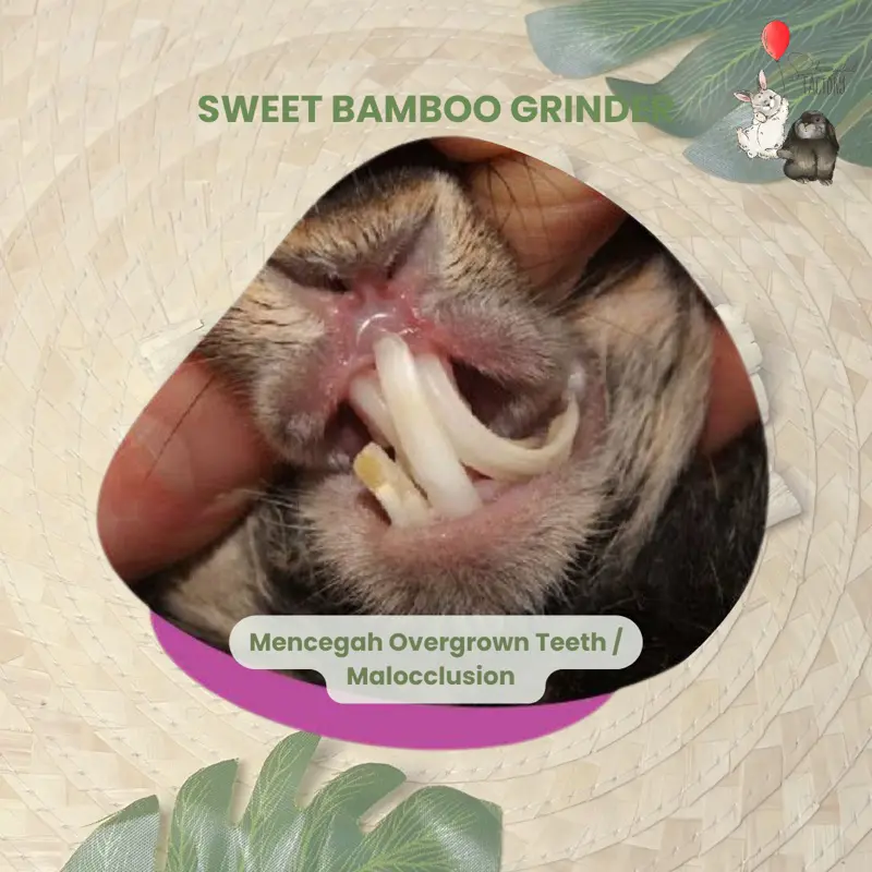 Natural Sweet Bamboo Grinder Chew Stick - Pengasah Gigi Kelinci Hamster Marmut Chincilla 3