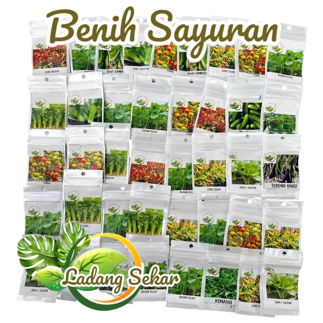 Aneka Benih Sayuran + Kangkung + Sawi + Seledri + Benih Tomat + Cabe + Wortel + Bayam Hijau + Terong Ungu + Mentimun + Cabe Merah + Sawi Pakcoy + Selada Hijau + Benih Kemangi + Dan Buah Kemasan Pack