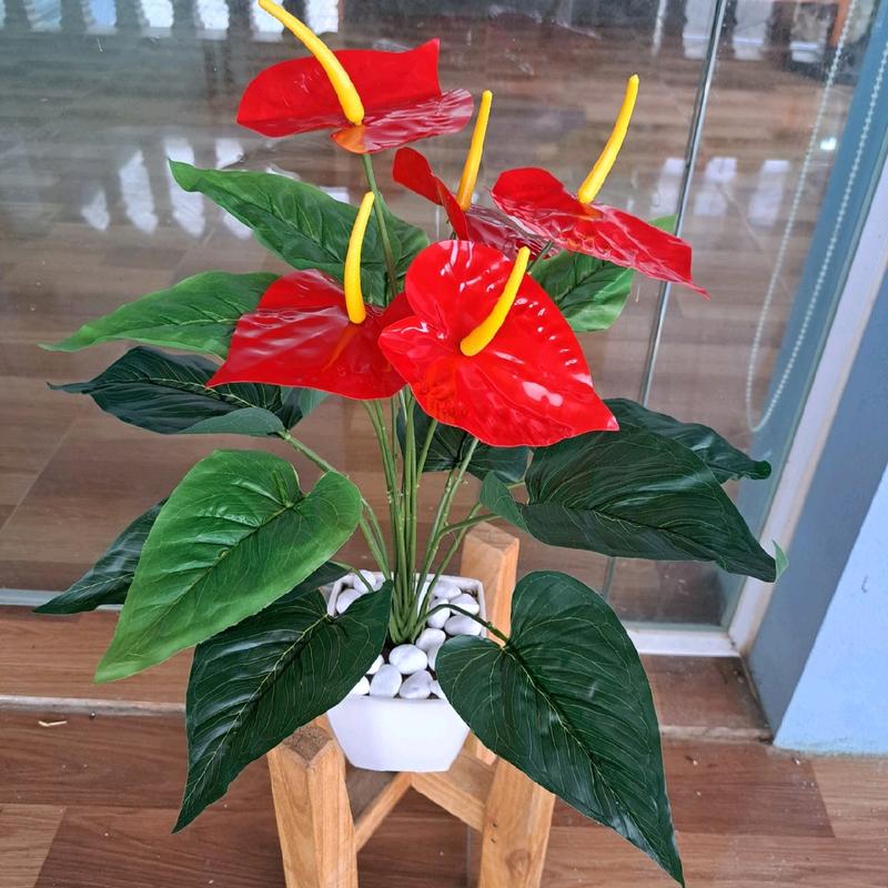 Cây giả, Cây Hồng môn yến cao 50CM decor