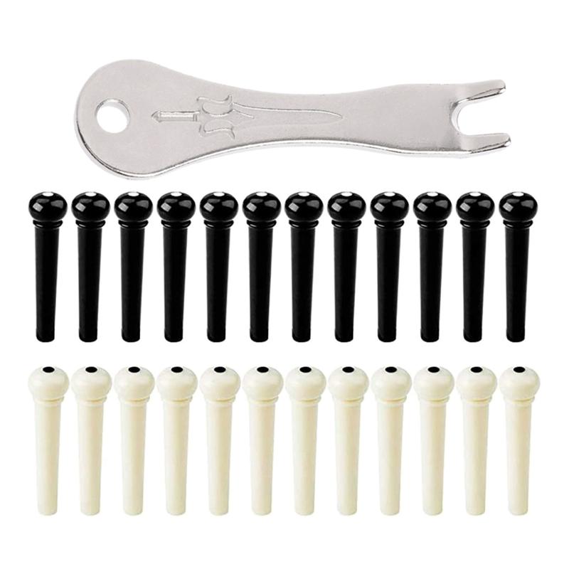 25Pcs Acoustic Guitar Bridge Pins & Puller Set Bass Guitar Bridge ...