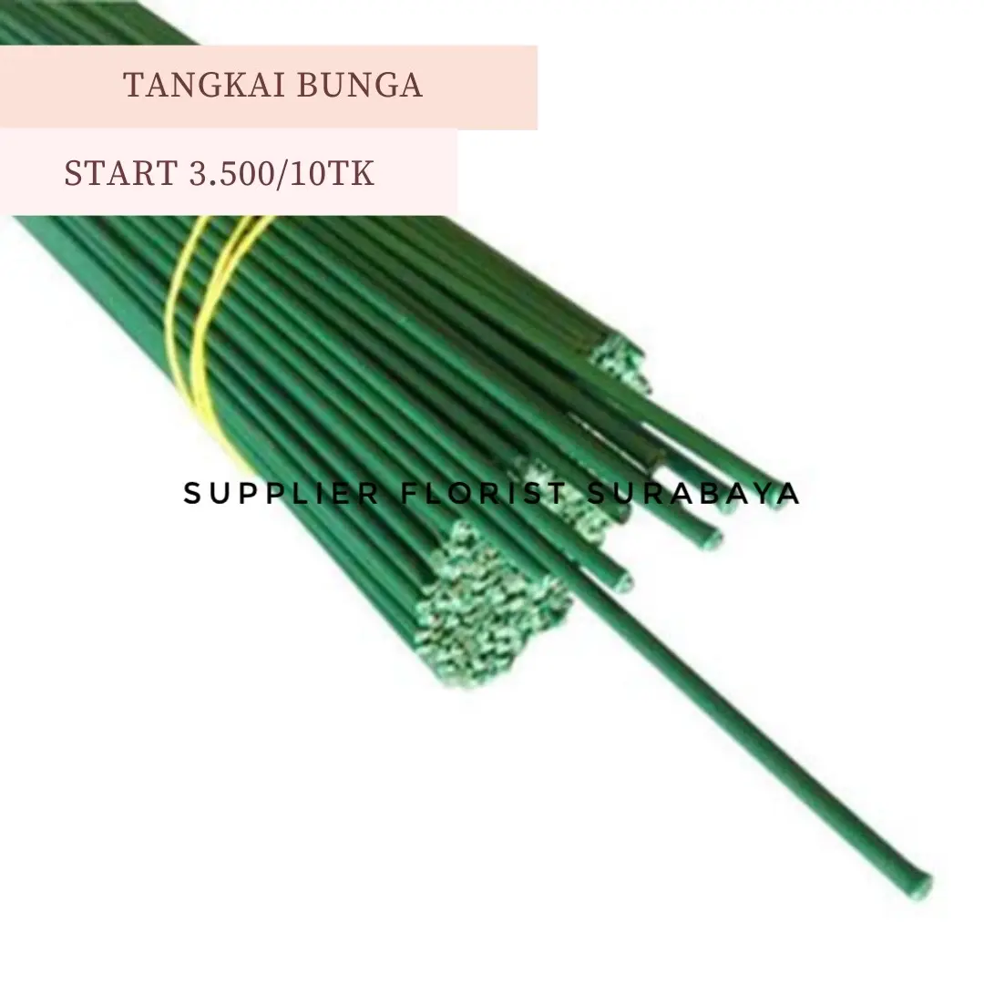 [TERMURAH !!] 50 TANGKAI BUNGA PALSU 40CM DIAMETER 0,2CM 2MM TANGKAI KAWAT BUNGA UKURAN PAS LUBANG BUNGA UNTUK TANGKAI BUNGA KAWAT HIJAU BATANG BUNGA PALSU ARTIFICIAL FLOWER