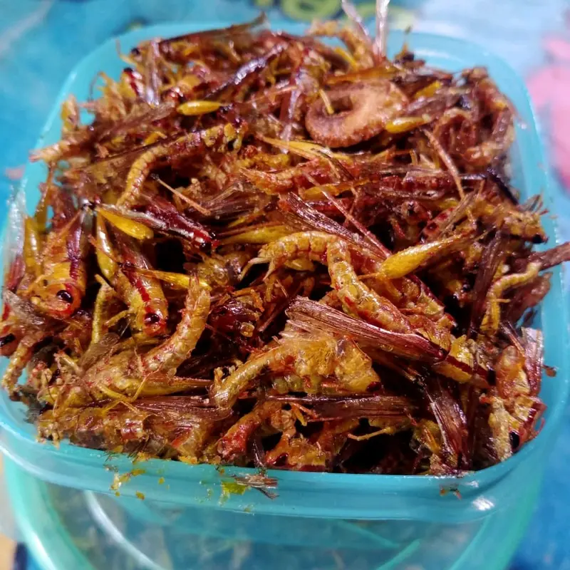 belalang goreng utis kecil kemasan toples kotak warna 2