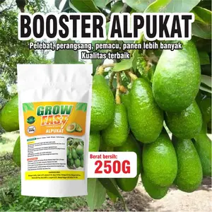 Pupuk pembungaan dan pembuahan alpukat 250gr pupuk penyubur pelaju pembuahan