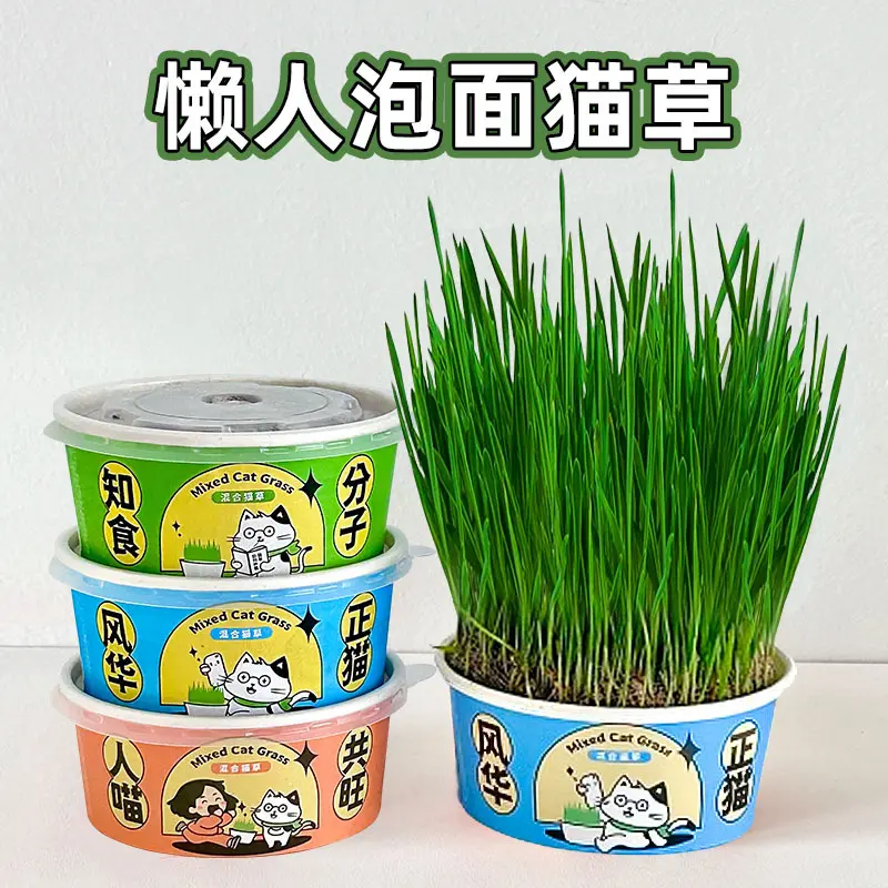 Cat Grass Pot Lazy Planting Cat Grass Cup Cat Grass Seeds Self-Planting Snacks Instant Noodles Cat Grass
