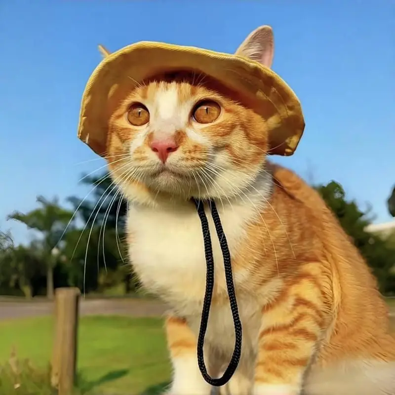 Topi Kucing dan Anjing Telinga Terbuka, Rekaan Comel, Sesuai - TikTok ...