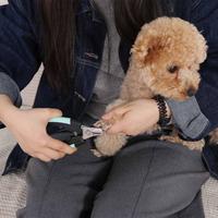 Gambar PAWS N TAIL GUNTING KUKU HEWAN dari AZKO ID Kota Administrasi Jakarta Barat 2 Tokopedia