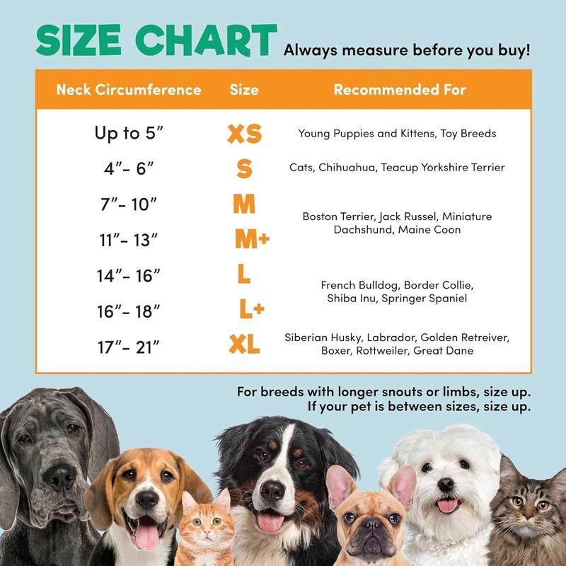 BENCMATE Protective Inflatable Collar for Dogs and Cats - Soft Pet Dog Cone Recovery Collar Does Not Block Vision E-Collar(Medium, Blue) 5