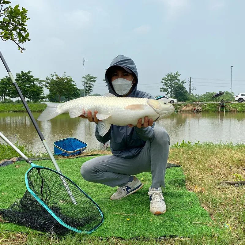 Mồi Câu Cá Ngô Ủ Sẵn Trắm Chép Việt Hùng Fishing Đi Câu Bắt Cá 2
