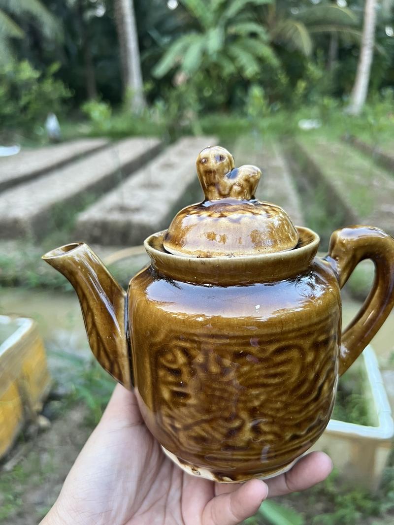 Product Introduction of Bình trà màu da lương nữa lít nước 3
