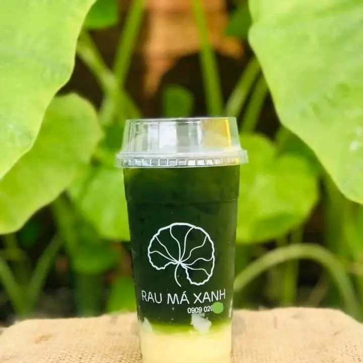 BỘT RAU MÁ SẤY LẠNH  ( hũ/ 500gr ) ️️️️️( lưu ý bột là loại nguyên sơ nên có vị đắng chát, mùi hao hao giống chè xanh) 4