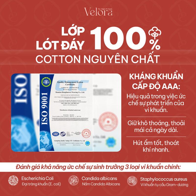 Product Introduction of [Combo 5 ] Quần Lót Su Cheeky Tam Giác Mỏng Nhẹ, Thoáng Mát, Không Viền, Đàn Hồi Thoải Mái - VELORA Nữ Women 5