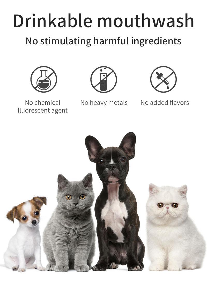Product Introduction of Pet Mouthwash Mild Cat for Common Dogs Mouthwash Tooth Cleaning Water Pet Mouthwash Pet Cleaning Supplies 2