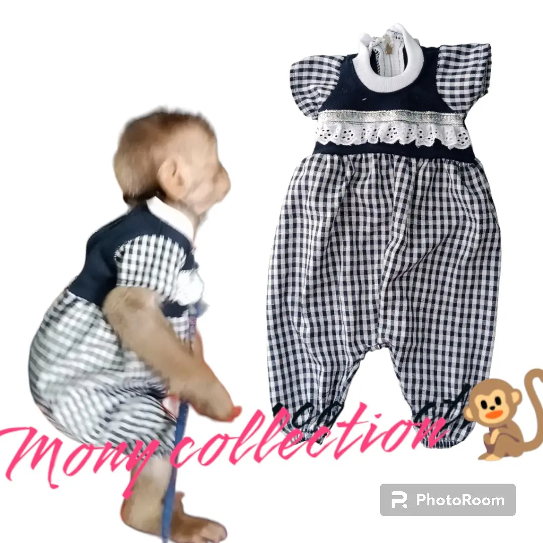 baju monyet peliharaan jumper balon corak kotak kecil